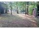Private backyard with shed and wooded area at 3404 Gemini Dr, Raleigh, NC 27604