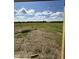 Open lot with grassy area and scattered debris at 95 Grace Ridge Ct, Benson, NC 27504