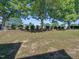 Landscaped backyard with lush green grass and mature trees at 4223 Standing Rock Way, Raleigh, NC 27604