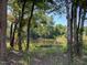 Peaceful pond view from the property at 167 Pretty Run Branch Ln, Wendell, NC 27591