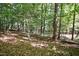 Serene backyard with hammock and lush trees at 675 Whitehurst, Pittsboro, NC 27312