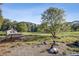 Goats resting in a grassy enclosure at 675 Whitehurst, Pittsboro, NC 27312