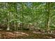 Expansive wooded area with tall trees at 675 Whitehurst, Pittsboro, NC 27312