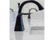 Close-up of an oil-rubbed bronze bathroom faucet with running water at 420 Oak Park Blvd, Youngsville, NC 27596