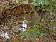 Serene creek running through the property at 548 Double N Rd, Pittsboro, NC 27312