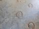 Concrete floor with horseshoe imprints at 548 Double N Rd, Pittsboro, NC 27312
