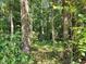 Private wooded lot, lush vegetation ideal for nature lovers at 1565 Bowers Store Rd, Siler City, NC 27344