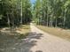 Gravel road leading into a wooded area at 3806 River Mill Ln, Franklinton, NC 27525