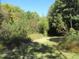 Open area in woods with tall trees and undergrowth at 812 Siler City Glendon Rd, Siler City, NC 27344