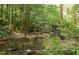 Serene creek nestled in a wooded area at 60 Clearsprings Ct # 18, Pittsboro, NC 27312