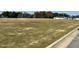 Community soccer field with goal posts at 764 Putney Hill Rd, Zebulon, NC 27597