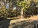 Large backyard with mature trees and open grassy area at 308 E East End Ave, Durham, NC 27703