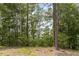 View of the lake through the trees from a wooded lot at 017 Bartley Holleman Rd # 17, New Hill, NC 27562