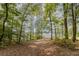 Wooded lot with a scenic lake view and open path at 017 Bartley Holleman Rd # 17, New Hill, NC 27562