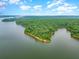 Aerial view of a wooded peninsula on a lake at 017 Bartley Holleman Rd # 17, New Hill, NC 27562