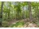 Image of a wooded area with tall trees and a path at 017 Bartley Holleman Rd # 17, New Hill, NC 27562