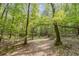 Image of a path through a sun-dappled forest at 017 Bartley Holleman Rd # 17, New Hill, NC 27562
