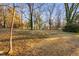 Wooded backyard with tall trees and a grassy area at 329 & 331 Roxboro St, Haw River, NC 27258