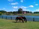 Picturesque farmhouse with red roof sits by a pond, surrounded by lush greenery at 370 Bellini Dr, Clayton, NC 27527