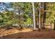 Wooded area with a pond and pine straw ground cover at 2106 White Pond Ct, Apex, NC 27523