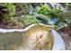 Unique water slide feature in a lush backyard setting at 110 Bywater Way, Chapel Hill, NC 27516