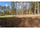 Wooded backyard with a grassy area at 2105 Gentry Rd, Wake Forest, NC 27587