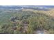 Aerial view of house and surrounding wooded area at 143 Rawhide Dr, Louisburg, NC 27549