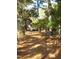 Driveway through a tree-lined path leading to the home at 6349 Elevation Rd, Benson, NC 27504