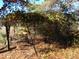 Wooden arbor covered with grapevines at 6349 Elevation Rd, Benson, NC 27504