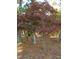 Stone statue nestled amongst trees and foliage at 6349 Elevation Rd, Benson, NC 27504