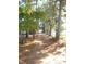 Long tree-lined pathway leading through the property at 6349 Elevation Rd, Benson, NC 27504