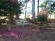 Serene garden setting with a park bench and camellia bushes at 6349 Elevation Rd, Benson, NC 27504