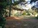 Partially sunny backyard with mature trees at 6349 Elevation Rd, Benson, NC 27504