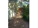 Driveway lined with tall pine trees at 6349 Elevation Rd, Benson, NC 27504