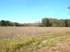 Vast open field with trees in the background at 6349 Elevation Rd, Benson, NC 27504
