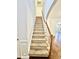 Carpeted staircase leading to the second floor of the home at 1018 Goldmist Ln, Durham, NC 27713