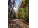 Driveway with trees with leaves changing color in autumn at 7204 Bocage Pl, Wake Forest, NC 27587