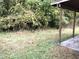 Overgrown backyard with a small patio area at 313 E Umstead St, Durham, NC 27707