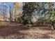 Wooded backyard with leaf covered ground at 345 Thornwood Ln, Youngsville, NC 27596