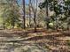 Ranch home with driveway and wooded lot at 345 Thornwood Ln, Youngsville, NC 27596