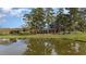 House nestled amongst trees near a pond at 739 Silk Hope Lindley Mill Rd, Siler City, NC 27344