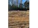 Vacant lot ready for new construction with for sale sign at 160 Blue Butterfly Dr, Angier, NC 27501