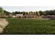playground with swings and a shaded area at 2165 Pink Peony Cir # 230, Durham, NC 27703
