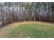 Large backyard bordered by trees at 234 Silver Creek Dr, Clayton, NC 27520