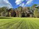 Large backyard with lush green grass and tree line at 131 Tulipfield Way, Benson, NC 27504