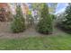 Landscaped backyard with lush greenery at 10132 Blackwell Dr, Raleigh, NC 27617