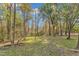 Sunny, grassy backyard surrounded by tall trees at 1518 Parks Village Rd, Zebulon, NC 27597