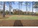 Spacious backyard with pine trees and neatly landscaped lawn at 2637 Trifle Ln, Wake Forest, NC 27587