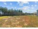 Large backyard with open space and a tree line at 41 Red River Dr, Selma, NC 27576