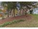 Landscaped yard with mature trees and ground cover at 4710 Tanglewood Dr, Raleigh, NC 27612